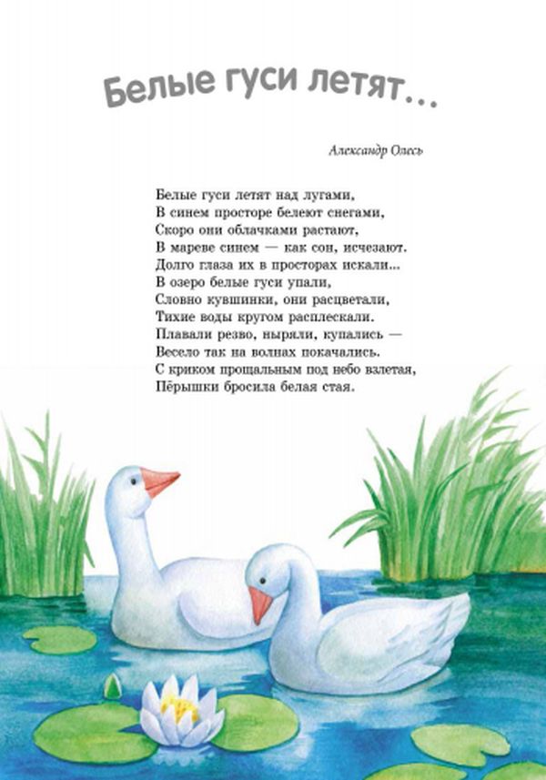 Твоя книга: Сказки и рассказы. Розовая (р)