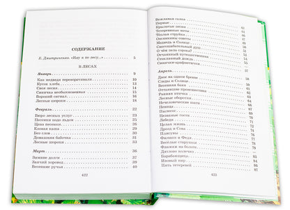 Лесные тайнички (зеленая)