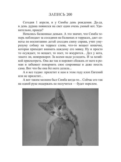 Кот, Домовой и Василий Иванович