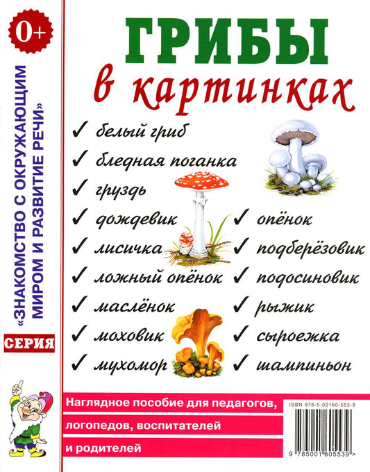 Грибы в картинках. Наглядное пособие для воспитателей, логопедов, педагогов, родителей. А4