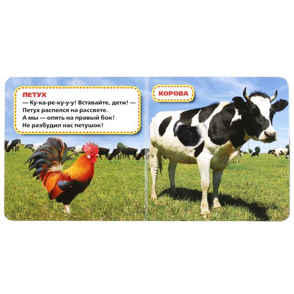 Домашние животные Дружинина (карт. книга 3 разв. с 4 тактил. эл-тами) 120х120мм Умка в кор.144шт