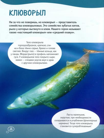 Клюворыл и другие киты