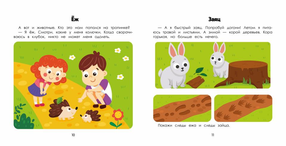 Лес: энциклопедия для малышей в картинках