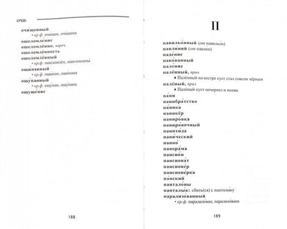 Школьный словарь правописания Н и НН