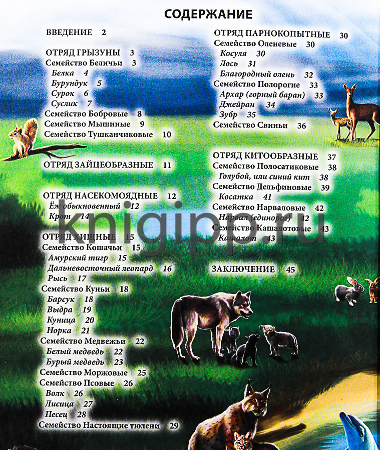 ЭНЦИКЛОПЕДИЯ. ХОЧУ ВСЁ ЗНАТЬ. красная. ЖИВОТНЫЕ РОССИИ