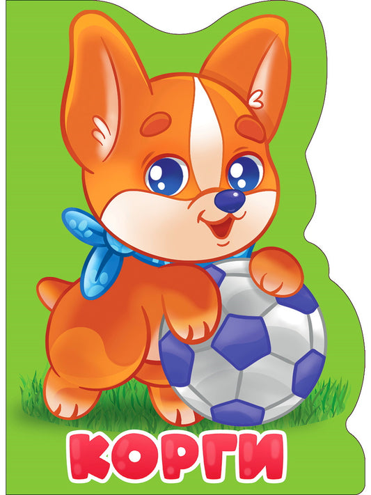 ВЫРУБКА БОЛЬШ. КОРГИ