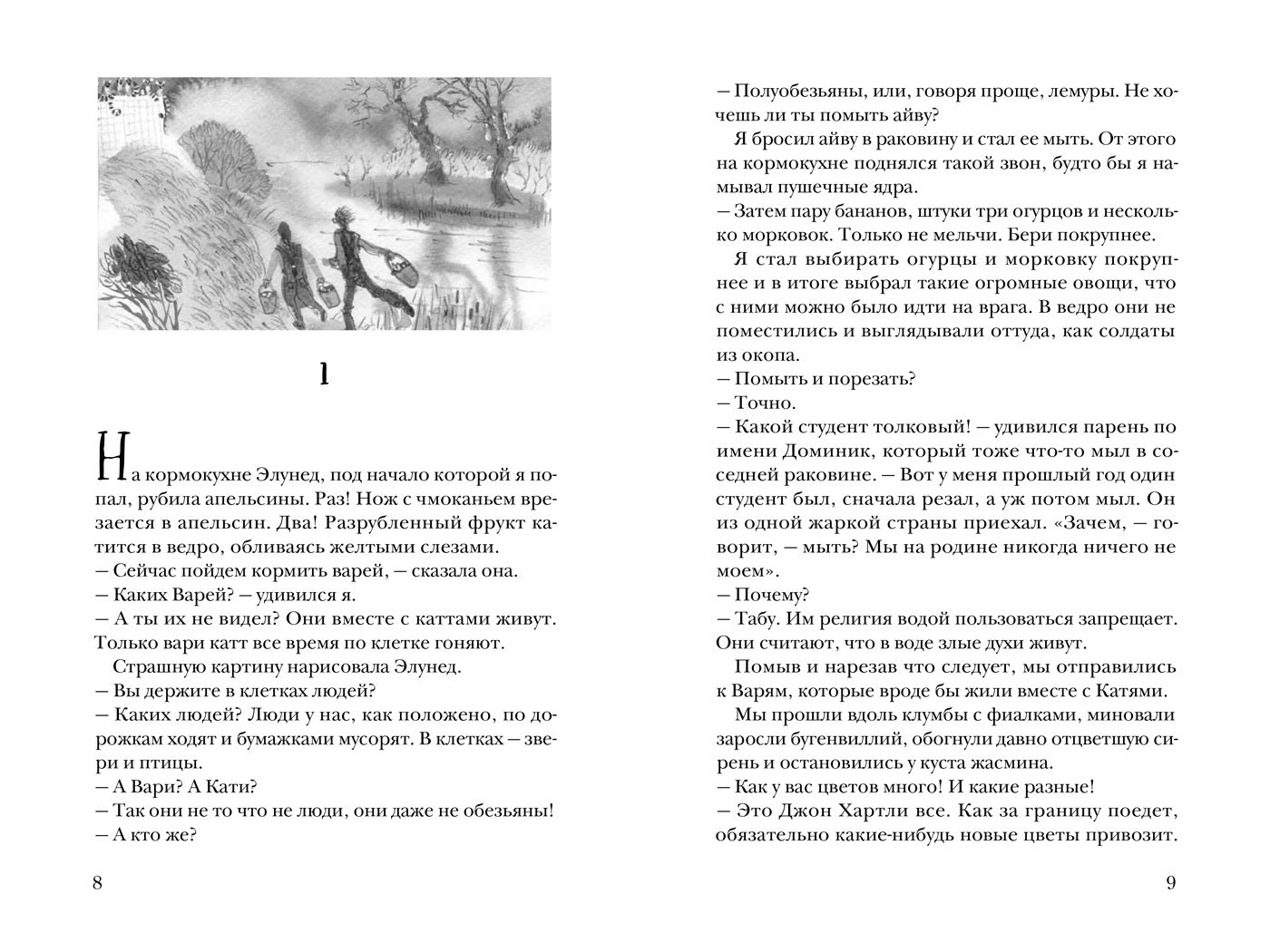 Остров, одетый в джерси