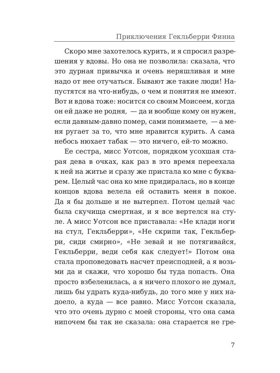 Приключения Гекльберри Финна: роман