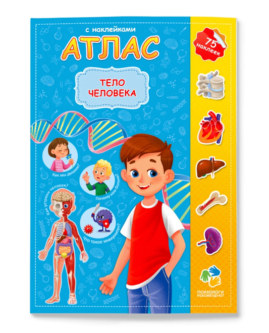 Атлас с наклейками. Тело человека. 21х29,7 см. 16 стр. ГЕОДОМ