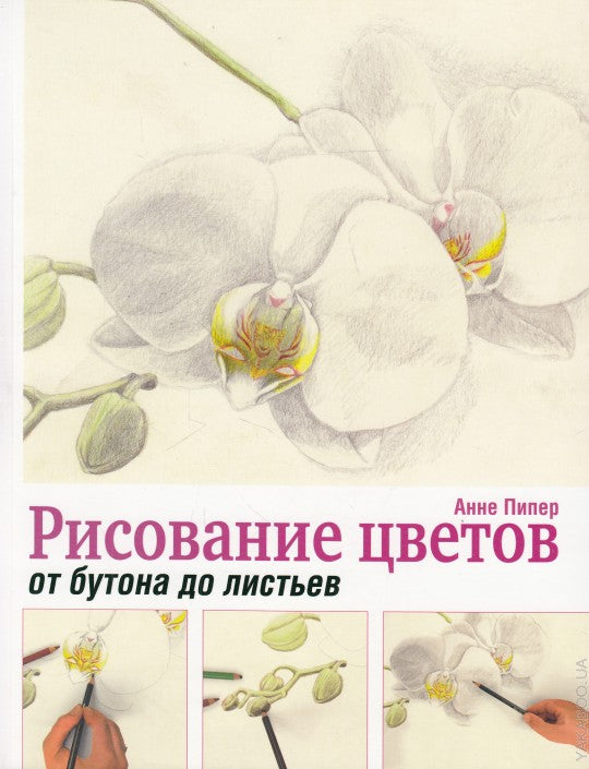 Рисование цветов от бутона до листьев