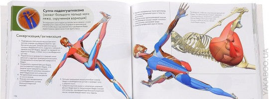 Ключевые позы йоги