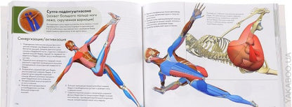 Ключевые позы йоги