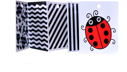 Развиваем зрение с рождения. Книжка-раскладушка с картинками