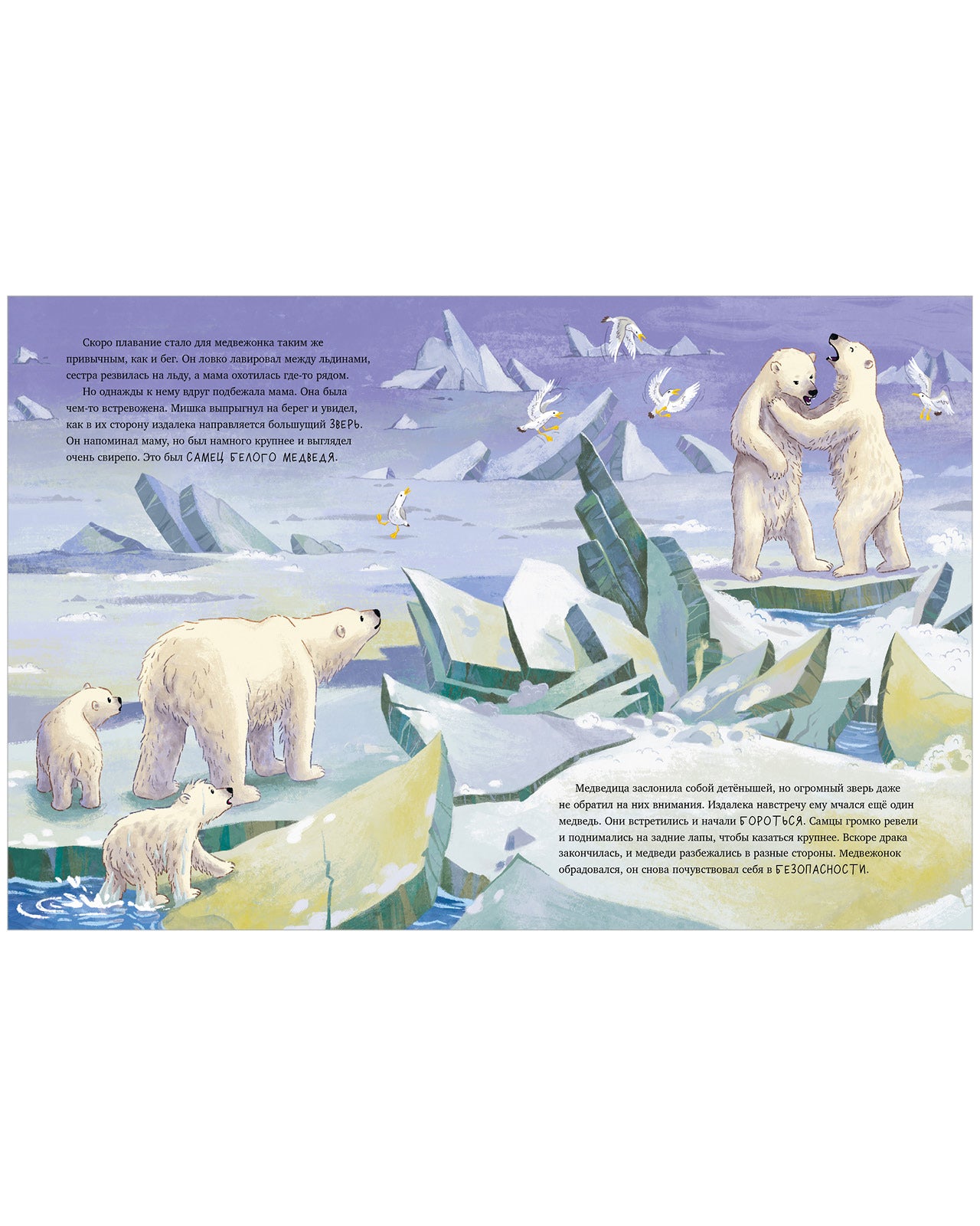 Удивительные животные. Белый медвежонок. Приключения в Арктике/Шармахер-Шрайбер К.