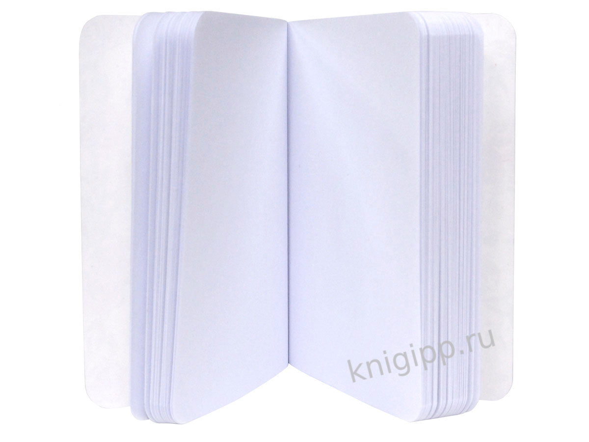 MyArt. Pocket ArtBook. Лимоны
