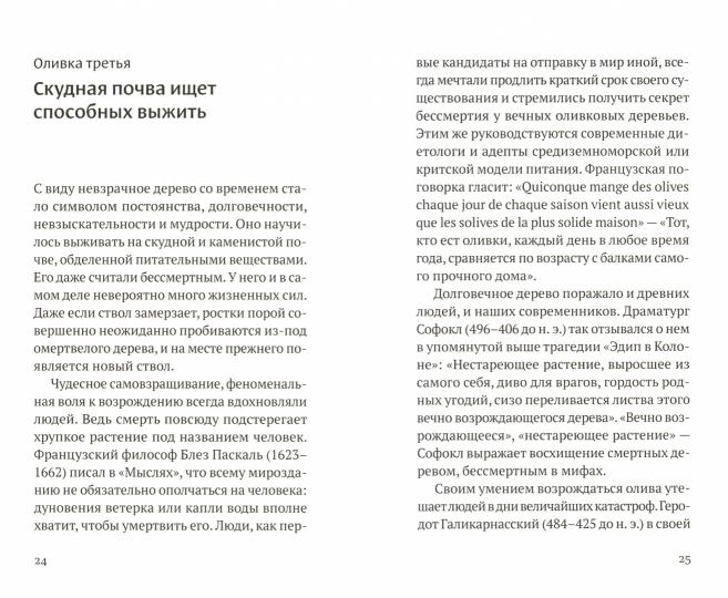Дивная олива: краткое культурологическое исследование