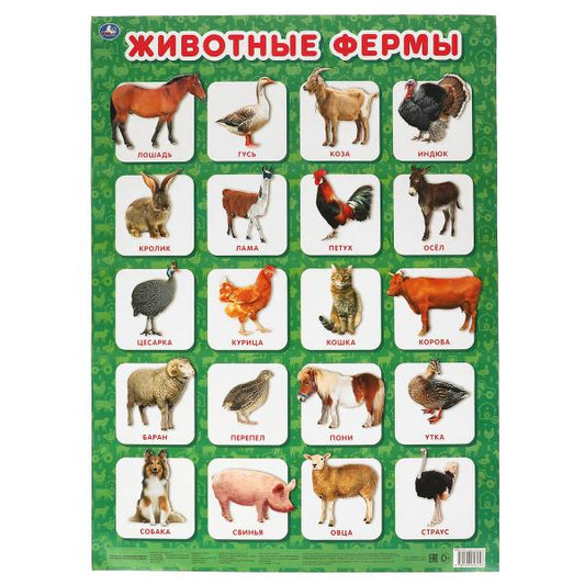 Животные фермы. Плакат А2. Умка уп-10шт в кор.5уп