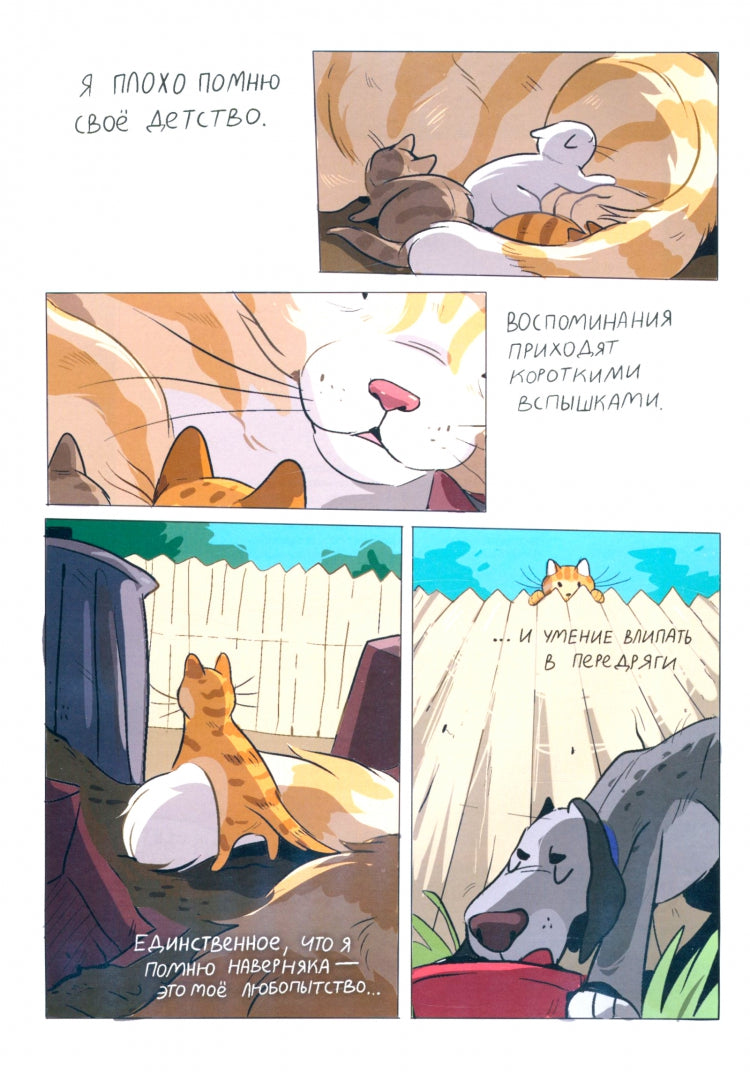 Кошечка Бэкки