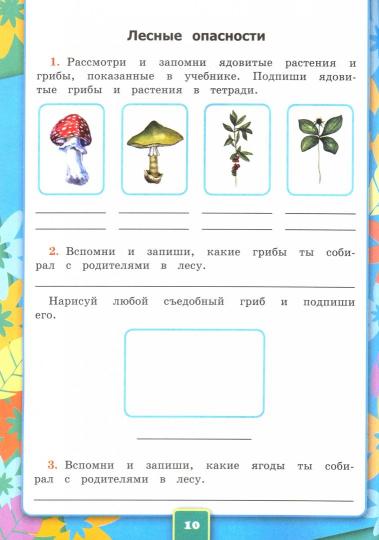 Соколова. Окружающий мир 2 класс. Рабочая тетрадь №2 к учебнику Плешакова