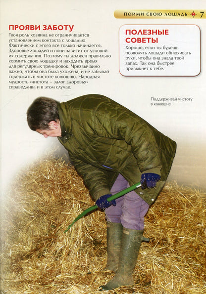 Лошади и пони. Детская энциклопедия