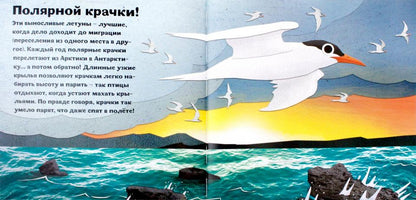 Птицы и букашки:от носа до хвоста. Букашки от носа до хвоста. Птицы от клюква до хвоста