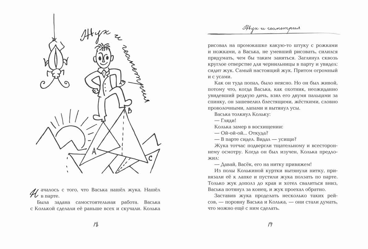 Жук и геометрия