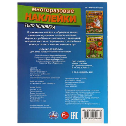 Тело человека. Активити с многоразовыми наклейками. 210х285мм. 8 стр. + 50 наклеек. Умка в кор.50шт