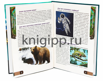 ЭНЦИКЛОПЕДИЯ. В МИРЕ ЗНАНИЙ. В ВОПРОСАХ И ОТВЕТАХ
