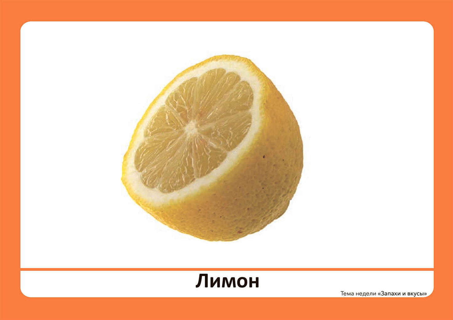 Тема недели «Запахи и вкусы». Наглядно-дидактический материал. 3-5 лет. Программа основанная на ECERS