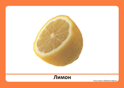Тема недели «Запахи и вкусы». Наглядно-дидактический материал. 3-5 лет. Программа основанная на ECERS
