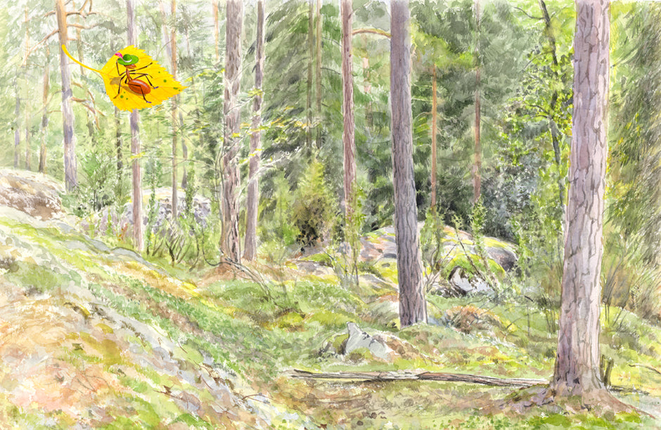 Софи в мире грибов