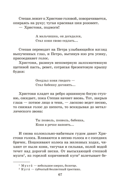 Тихий Дон: роман в 4 кн. Кн. 1
