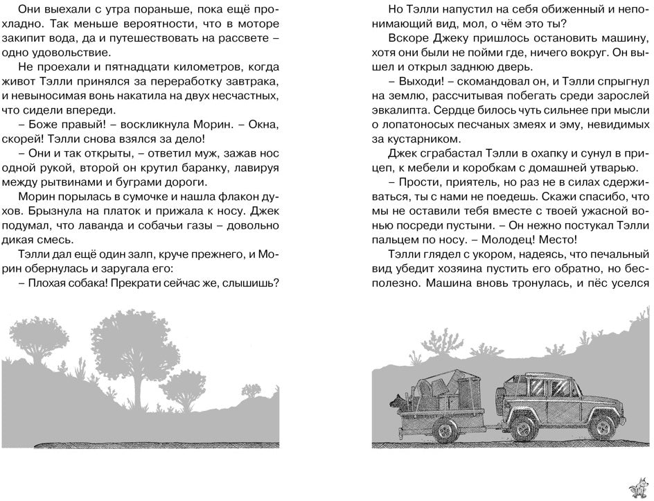 Рыжий пёс