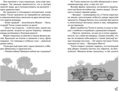 Рыжий пёс