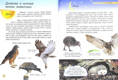 Пізнаємо та досліджуємо: Животный мир (р)