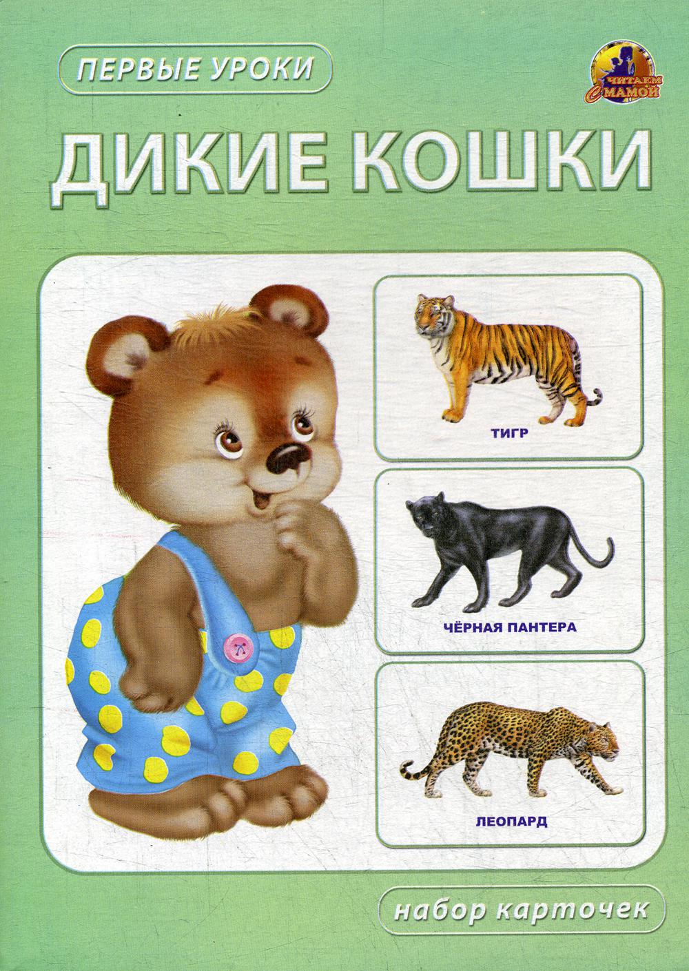 Дикие кошки. Набор карточек