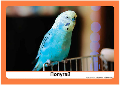 Тема недели «Мой дом, моя семья». Наглядно-дидактический материал. 3-5 лет. Программа основанная на ECERS
