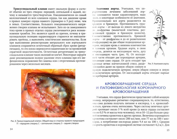 Основы кардиохирургии для менеджеров, не имеющих медицинского образования: Учебное пособие