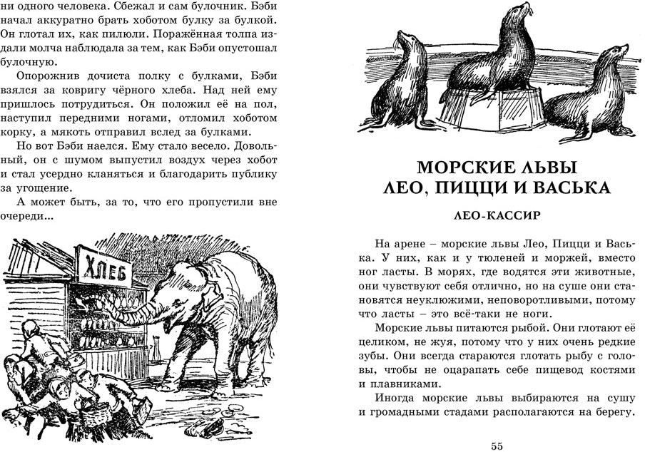 Мои звери