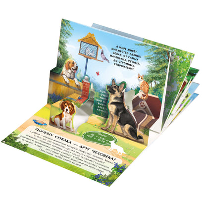 Набор "Коллекция карманных POP-UP энциклопедий. Комплект № 2" (книжки-панорамки 6 шт.)