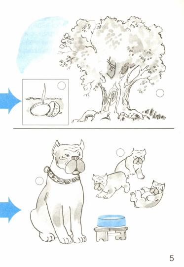 Окружающий мир. 1 кл. В 2 ч. Ч. 2. Тетрадь для тренировки и самопроверки. 9-е изд., перераб. и доп