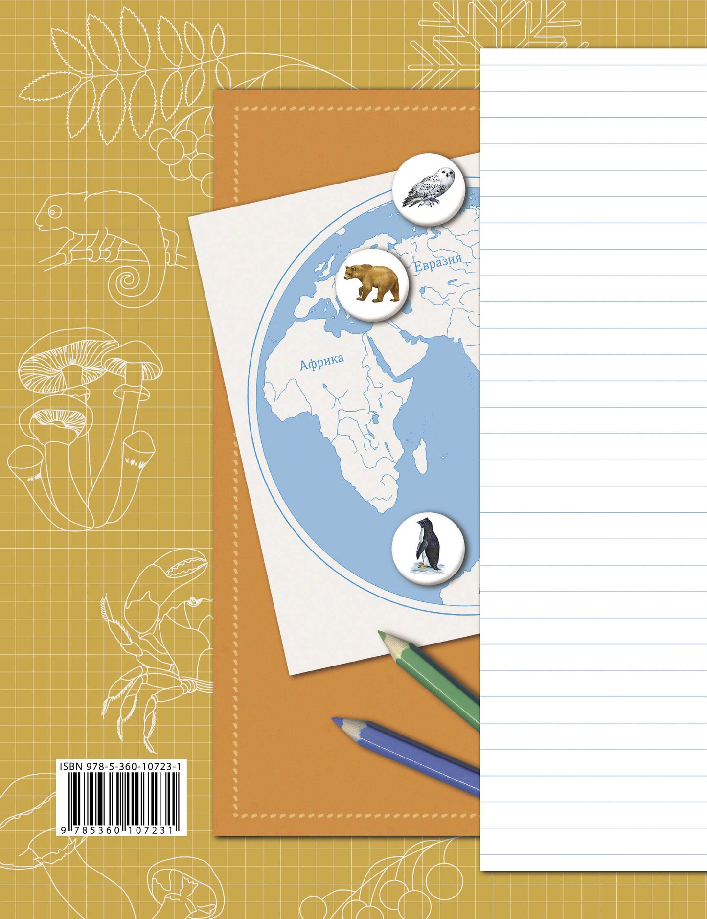 Окружающий мир. 2 класс. Рабочая тетрадь №2.