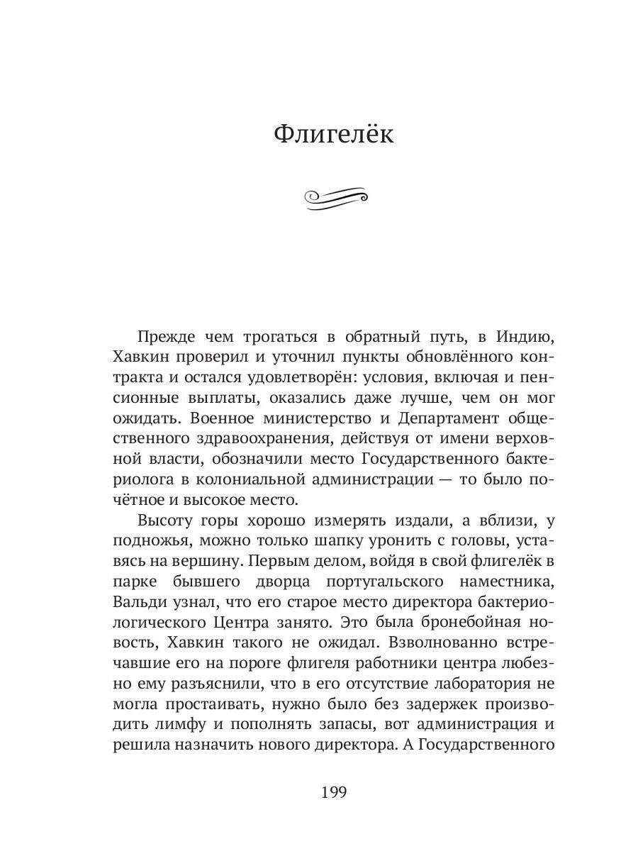 Махатма (вольные фантазии из жизни самого неизвестного человека): роман
