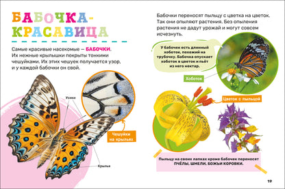 Насекомые. Первая энциклопедия малыша
