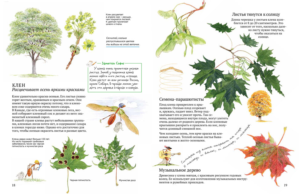 Софи в мире деревьев