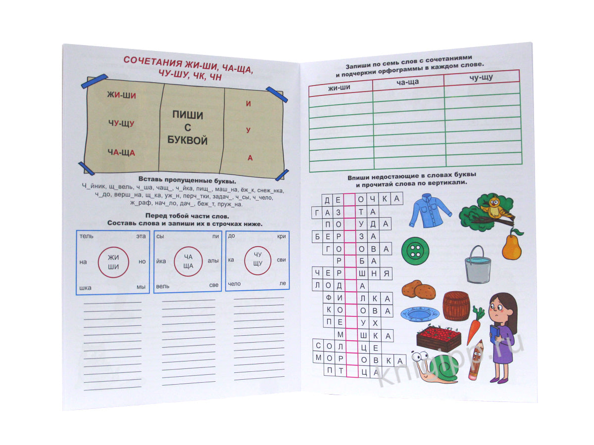ТРЕНАЖЁР ПО РУССКОМУ ЯЗЫКУ 8+