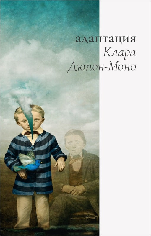 Адаптация: роман