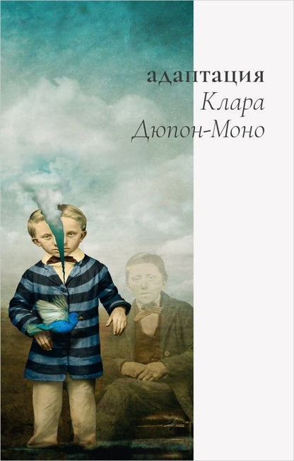 Адаптация: роман