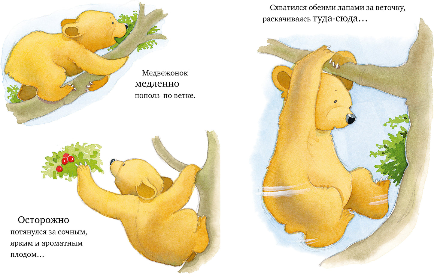 Кк. Книжки-картинки. Я люблю тебя, мамочка!/Харкер Д.