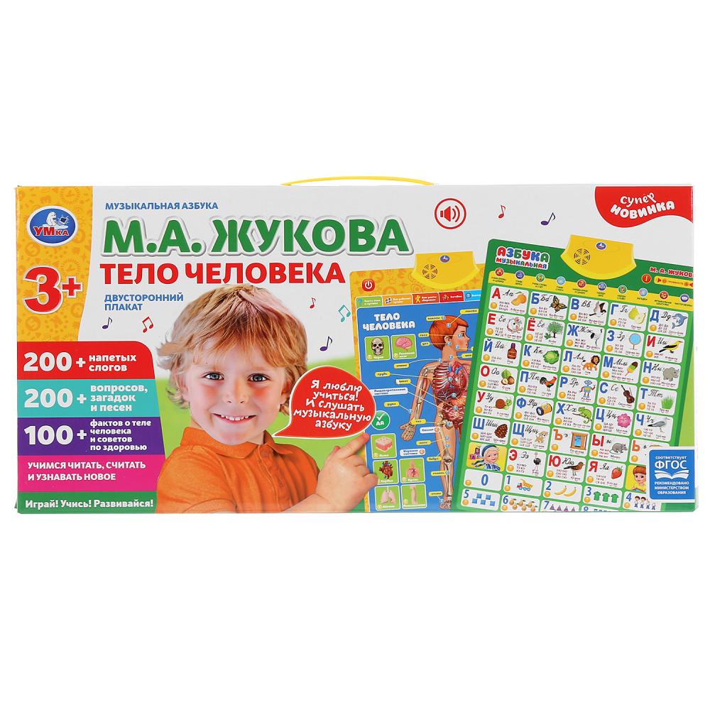Плакат двусторонний на бат. музыкальная азбука М.Жукова, тело человека в кор. Умка в кор.48шт